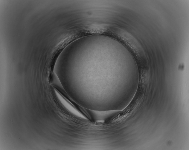 X0000098170501200804241159