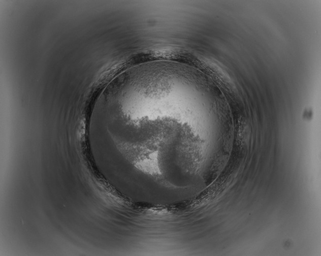 X0000098170502200804241159