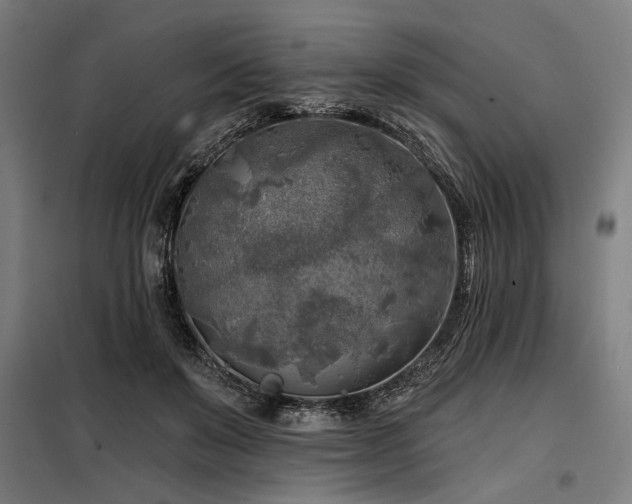 X0000098170503200804241159