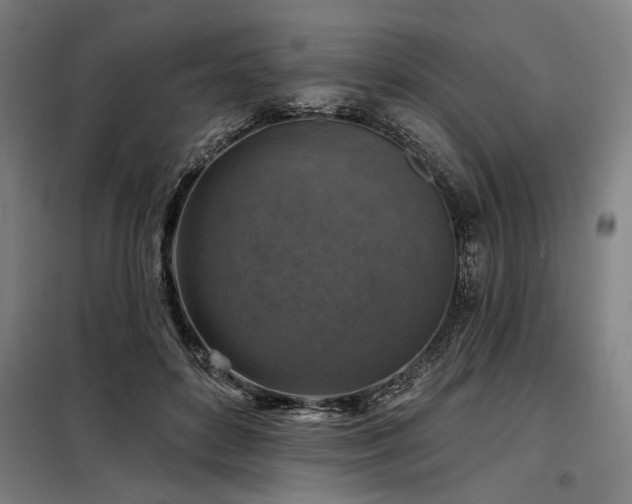 X0000098170504200804241159