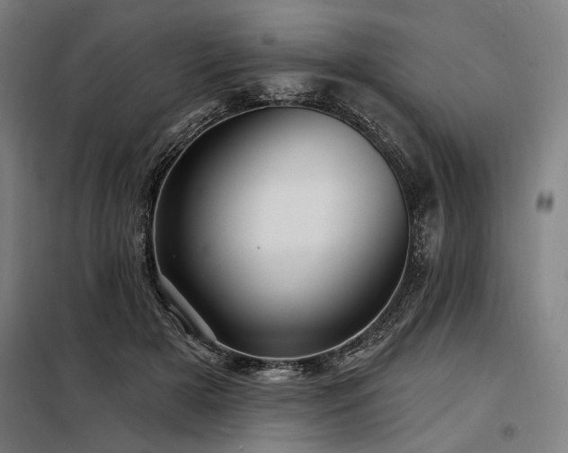 X0000098170505200804241159