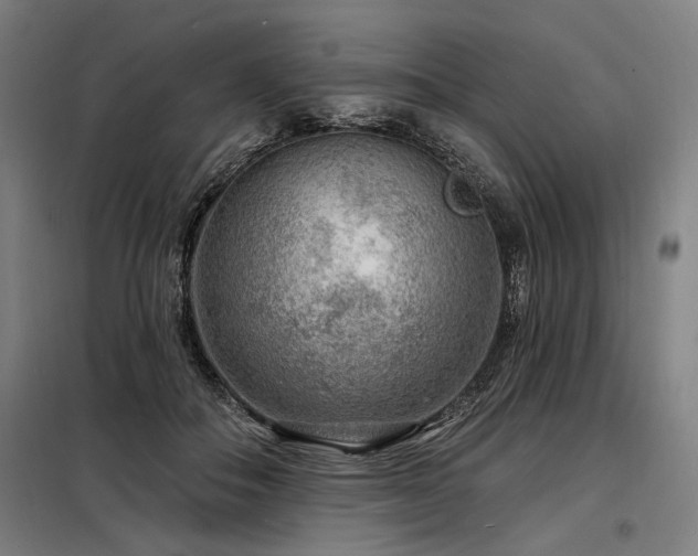 X0000098170506200804241159