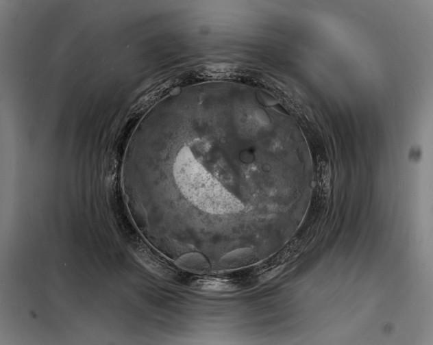 X0000098170507200804241159