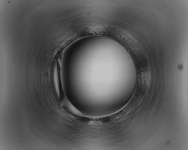 X0000098170508200804241159