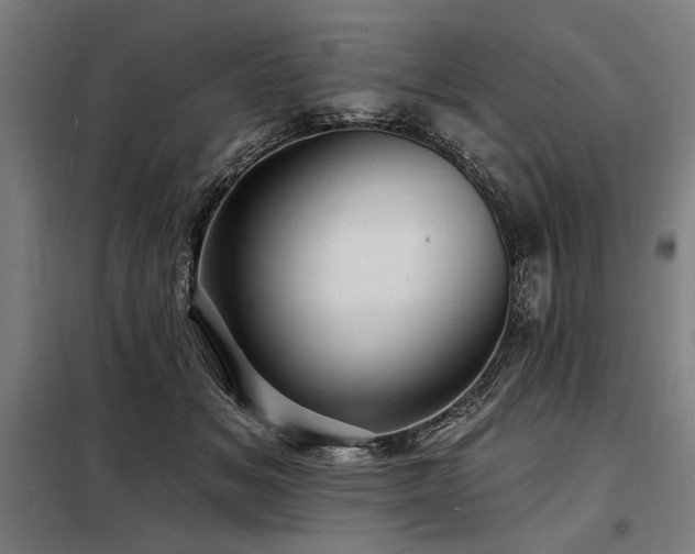 X0000098170509200804241159