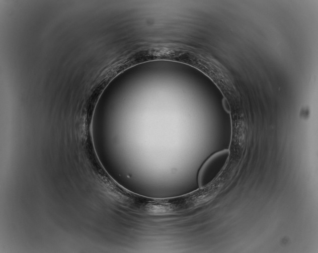 X0000098170510200804241159