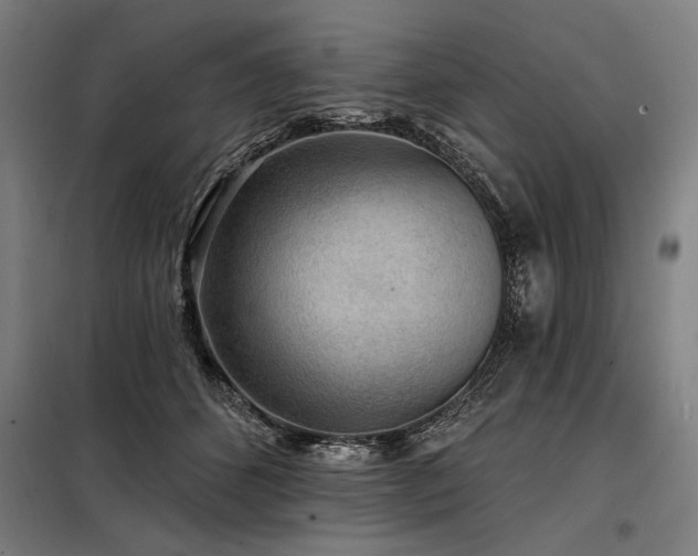 X0000098170512200804241159