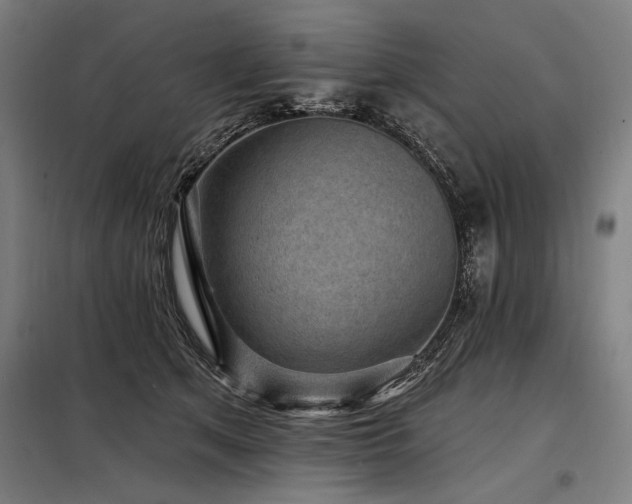 X0000098170513200804241159