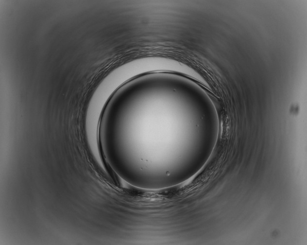 X0000098170514200804241159