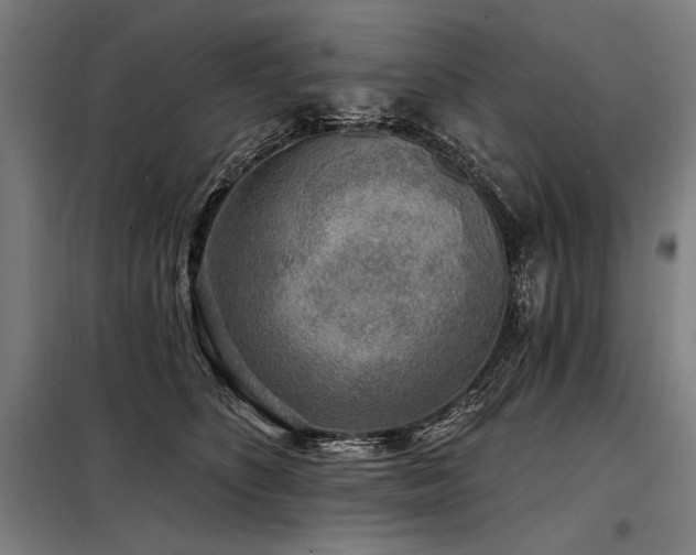 X0000098170516200804241159