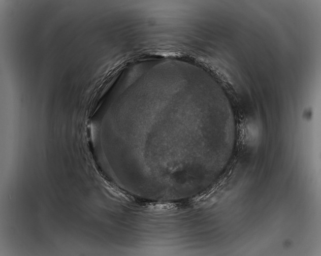 X0000098170517200804241158