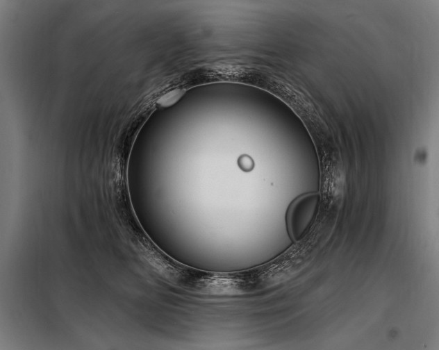 X0000098170518200804241158