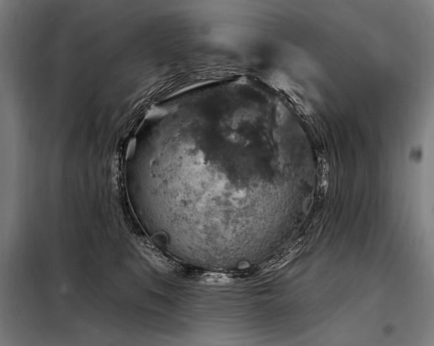 X0000098170519200804241158