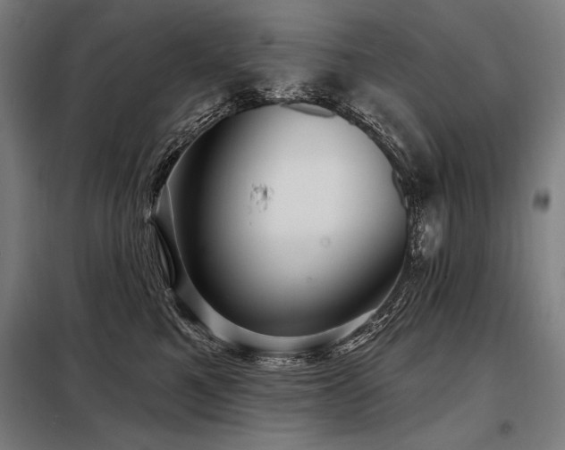 X0000098170521200804241158