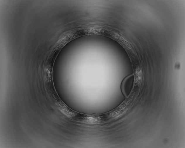 X0000098170522200804241158