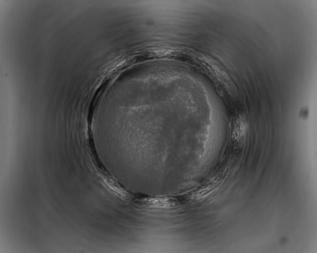 X0000098170524200804241158