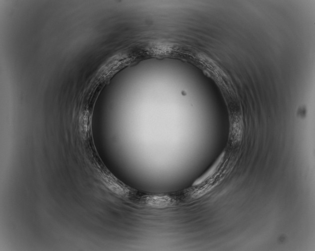 X0000098170525200804241158