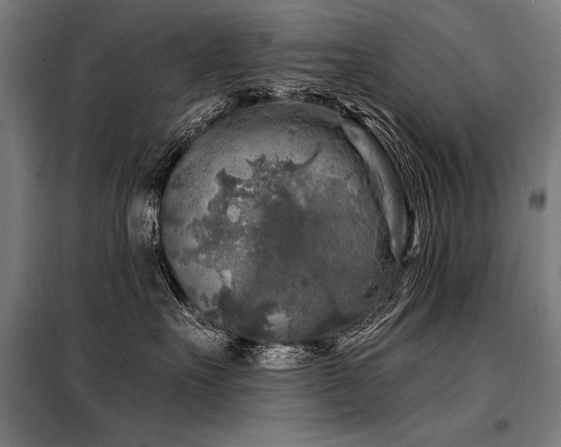 X0000098170527200804241158