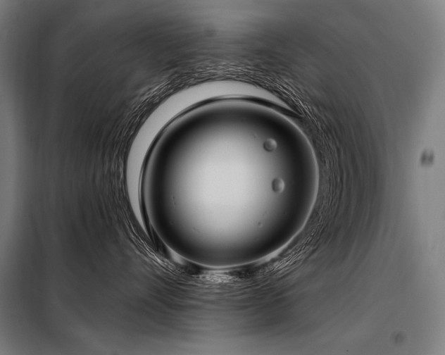 X0000098170528200804241158