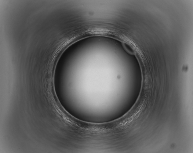 X0000098170529200804241158