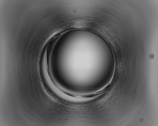 X0000098170530200804241158