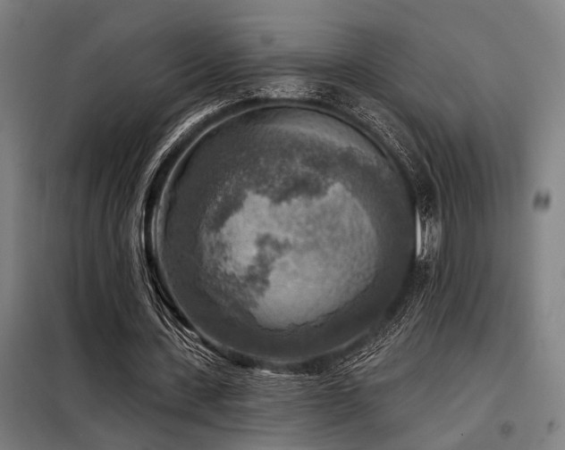 X0000098170531200804241158