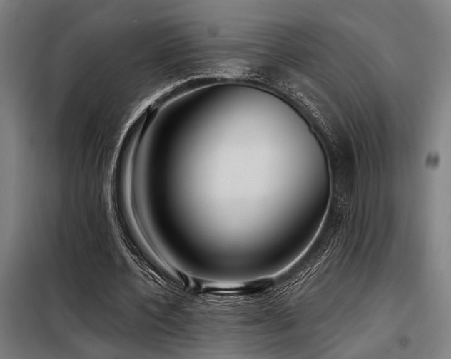 X0000098170532200804241158