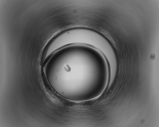 X0000098170534200804241158