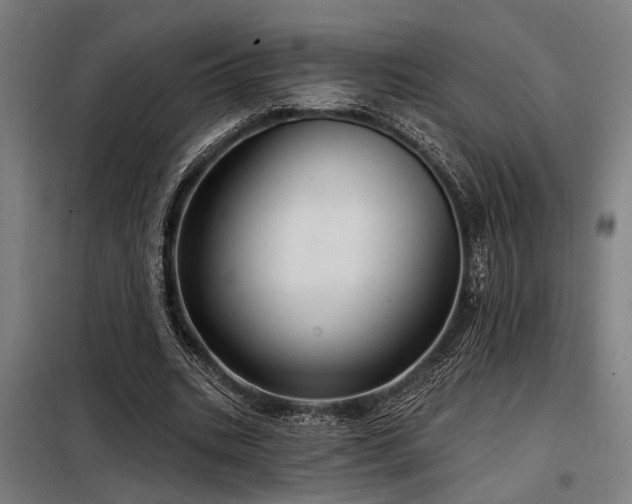 X0000098170535200804241158