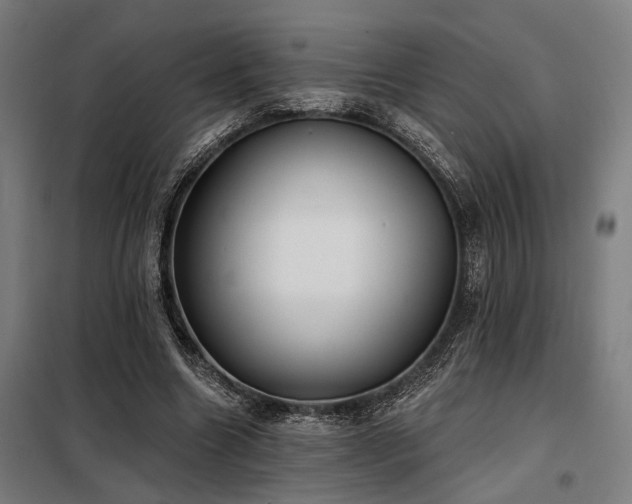 X0000098170538200804241158