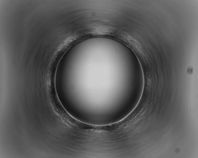 X0000098170539200804241158