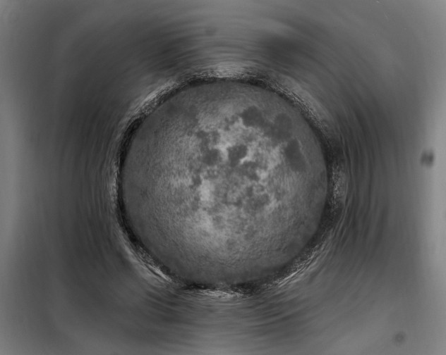 X0000098170542200804241158