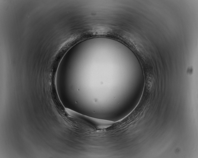 X0000098170543200804241158