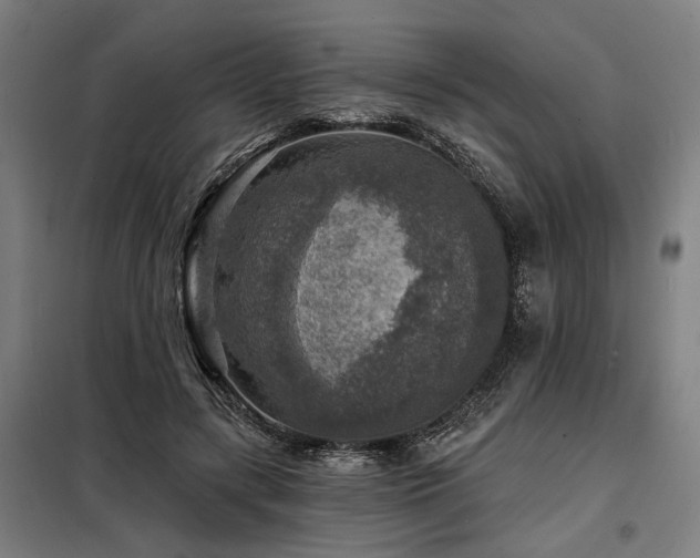 X0000098170547200804241158