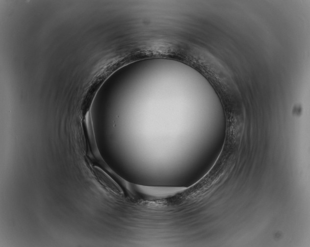 X0000098170548200804241158