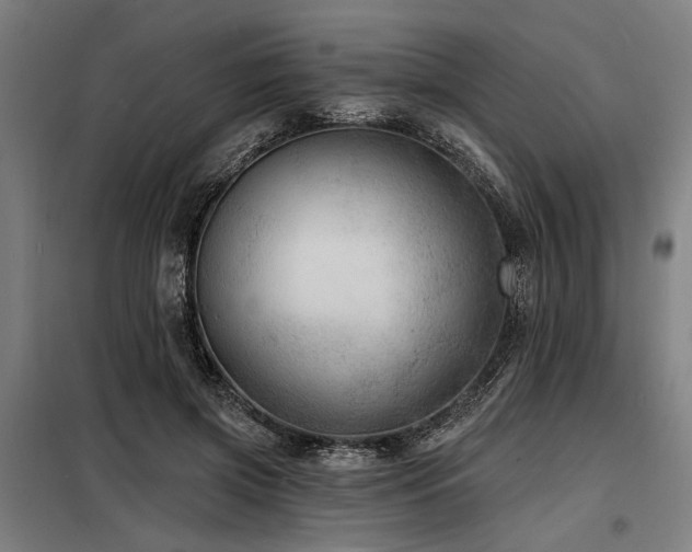 X0000098170549200804241158