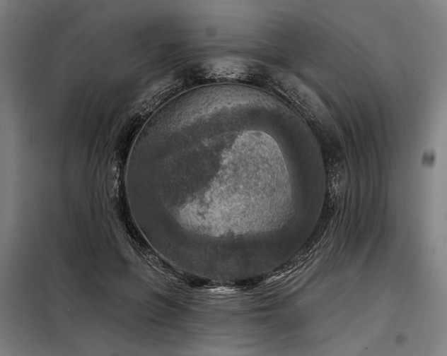 X0000098170551200804241158