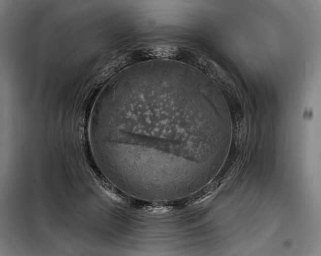 X0000098170553200804241158