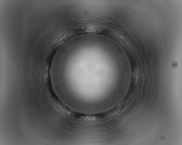 X0000098170554200804241158