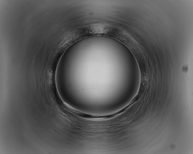 X0000098170556200804241158