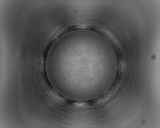 X0000098170557200804241158