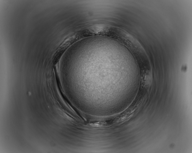 X0000098170558200804241158