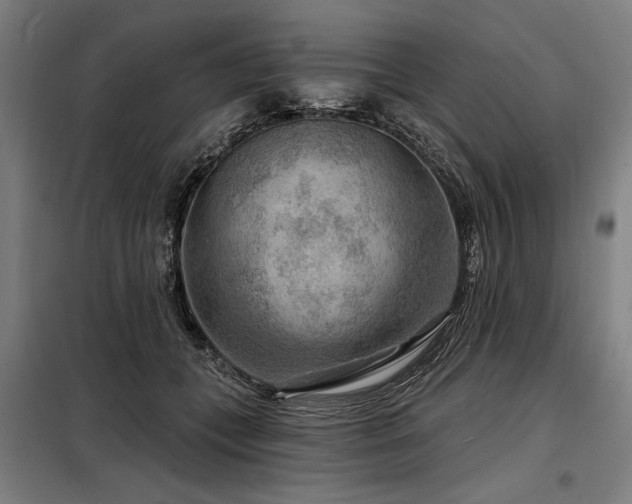 X0000098170559200804241158