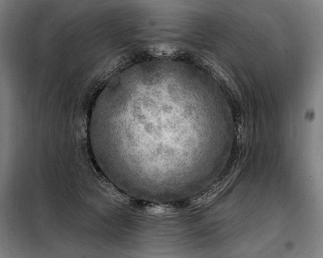 X0000098170561200804241158