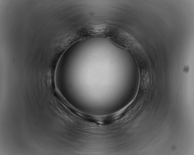 X0000098170562200804241158