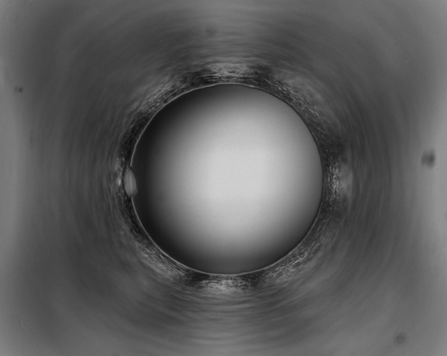 X0000098170567200804241158