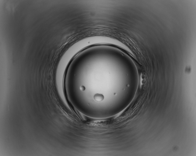 X0000098170568200804241158