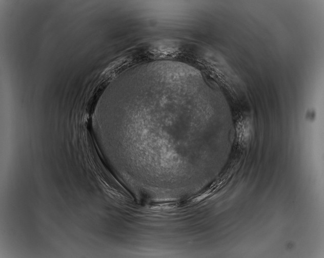 X0000098170570200804241158