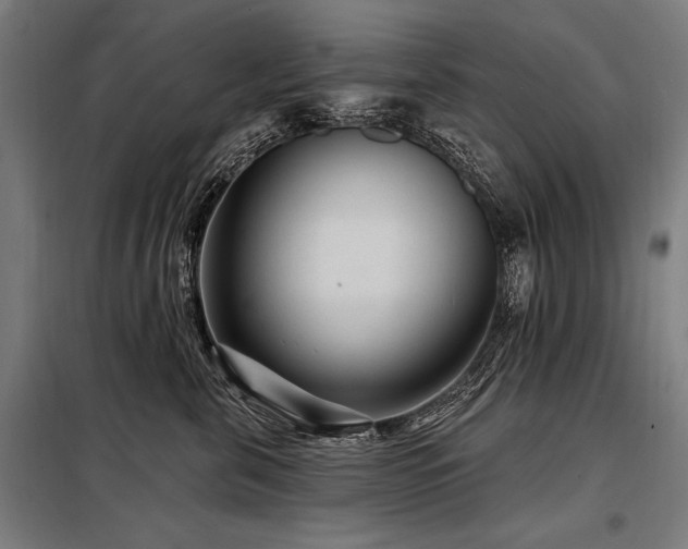 X0000098170571200804241158