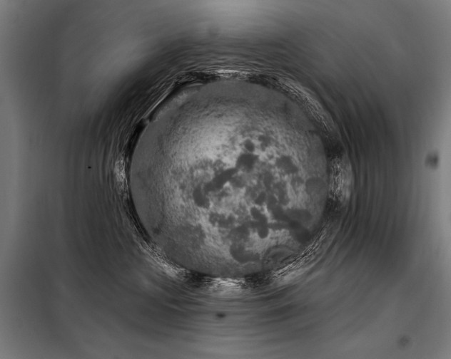 X0000098170573200804241158